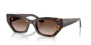 Ray Ban Sunglasses RB4430
