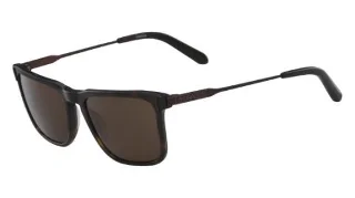240 Tortoise With Brown  Lens