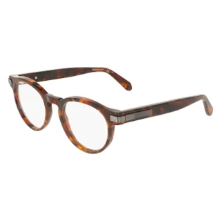 219 Brown Tortoise
