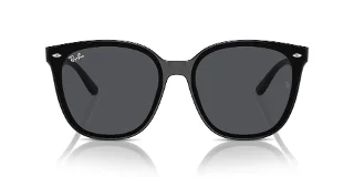 Ray Ban Sunglasses RB4423D