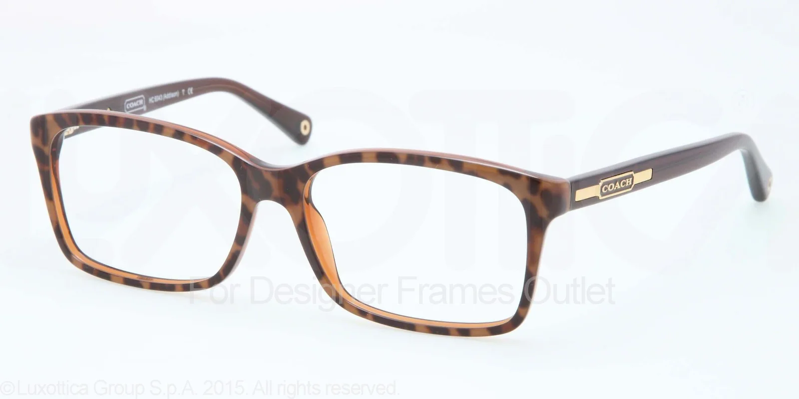 Coach Eyeglasses HC6043