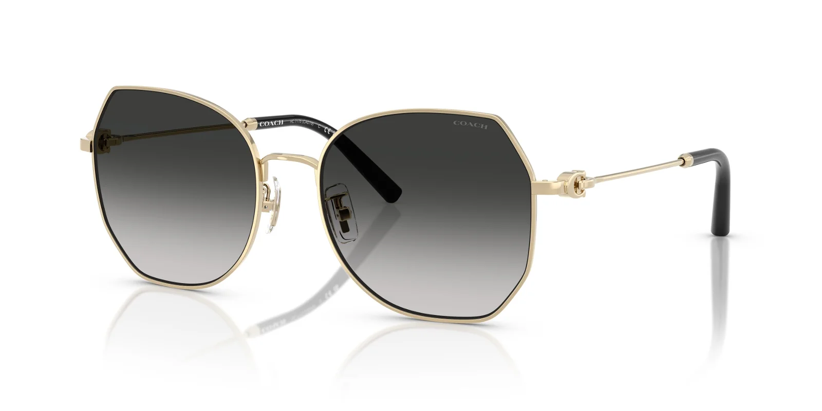 Coach Sunglasses HC7175