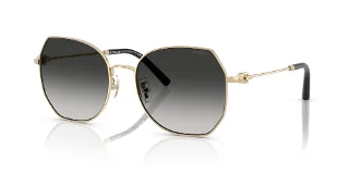 Coach Sunglasses HC7175