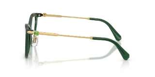 Swarovski Eyeglasses SK2051F