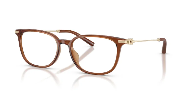 Coach Eyeglasses HC6312D
