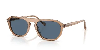 318980 Transparent Brown