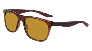221 Dark Pony/Brown/Bronze