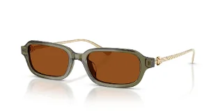 208573 Transparent Olive