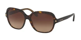 539413 Dark Tort/Dark Tort Gold Sig C