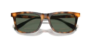 Polo Sunglasses PH4205U