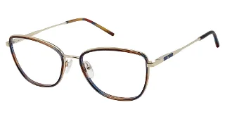 C03 GOLD / BLUE
