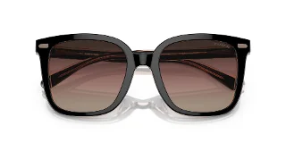 Coach Sunglasses HC8381F