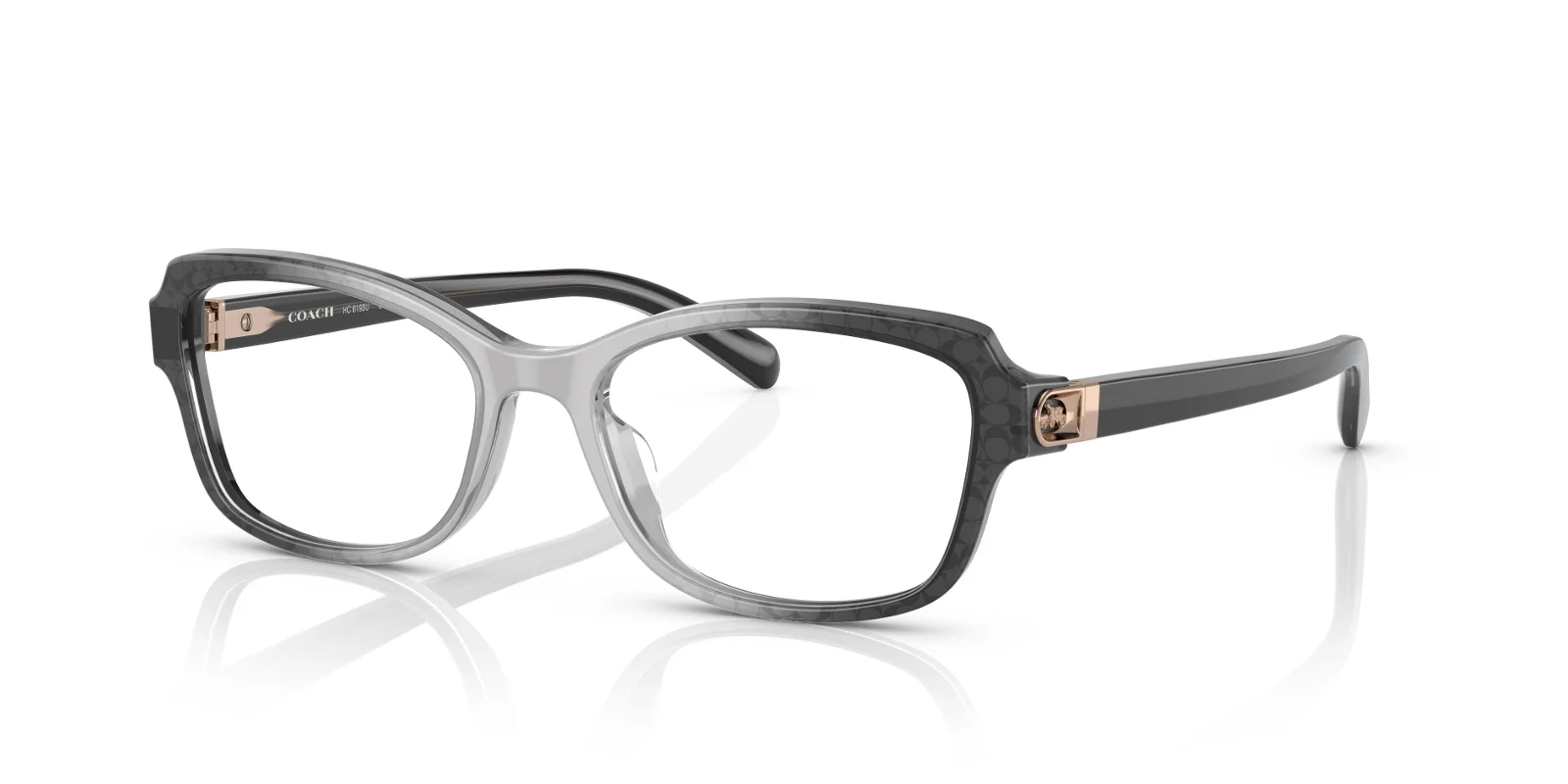 Coach Eyeglasses HC6193U