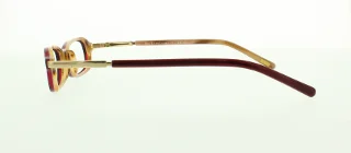 Polo Eyeglasses PP8506