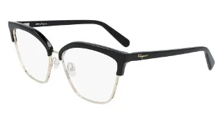 Salvatore Ferragamo Eyeglasses SF2210