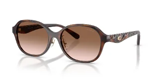 512013 Dark Tortoise
