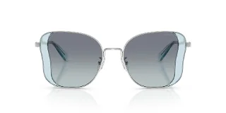 Coach Sunglasses HC7188