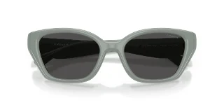Coach Sunglasses HC8434U