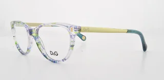 D&G Eyeglasses DD1213