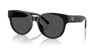 Coach Sunglasses HC8430D