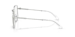 Swarovski Eyeglasses SK1036