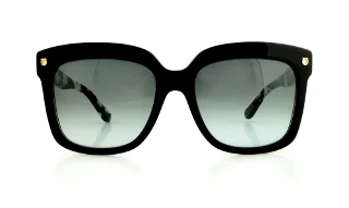 Salvatore Ferragamo Sunglasses SF676S