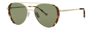 Tortoise (Polarized)