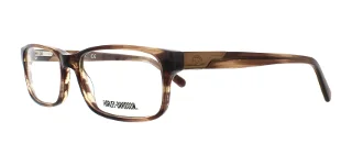 062  Brown Horn