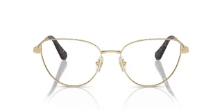 Swarovski Eyeglasses SK1007