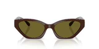 Coach Sunglasses HC8459U