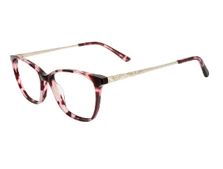C2 Berry Tortoise