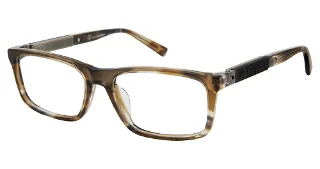 C02 Brown Tortoise