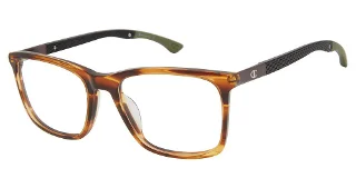 C02 Brown Horn