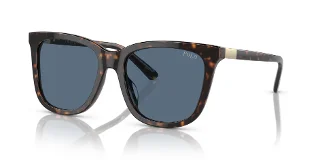 500380 Shiny Dark Havana