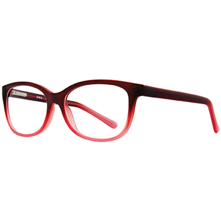 Stylewise Eyeglasses SW448