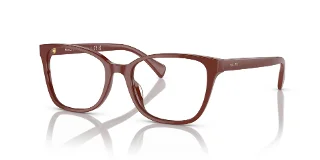 6134 Shiny Brown Red