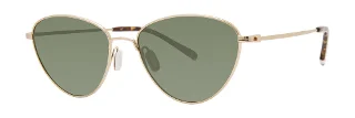 Gold (Polarized)