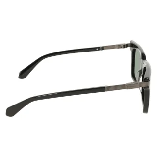 Salvatore Ferragamo Sunglasses SF2103S