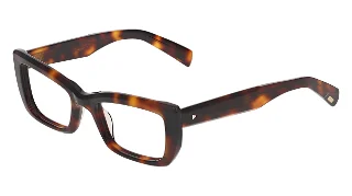 Avio Eyeglasses AOV2311