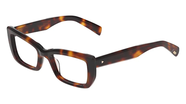 Avio Eyeglasses AOV2311