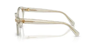 Swarovski Eyeglasses SK2037
