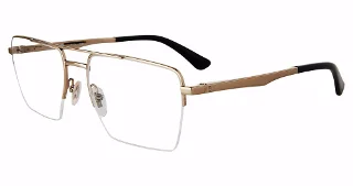 Police Eyeglasses VPLG71