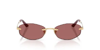 Versace Sunglasses VE2308D