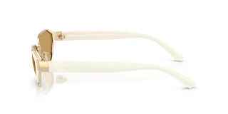 Ralph Lauren Sunglasses RL7094