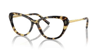 Ralph Lauren Eyeglasses RL6245