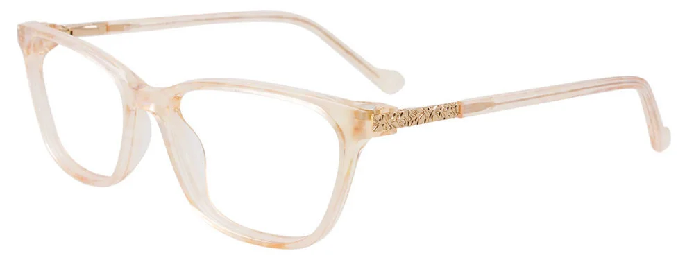 Easyclip Eyeglasses EC618