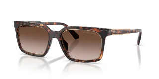 300613 Dark Tortoise