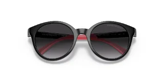 Emporio Armani Sunglasses EK4185F