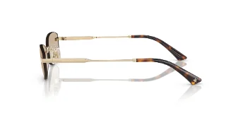 Jimmy Choo Sunglasses JC4013D