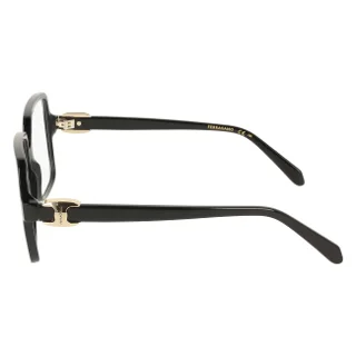 Salvatore Ferragamo Eyeglasses SF3058